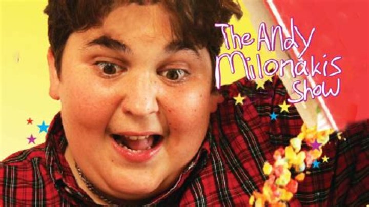 Andy Milonakis Net Worth And Success Secrets