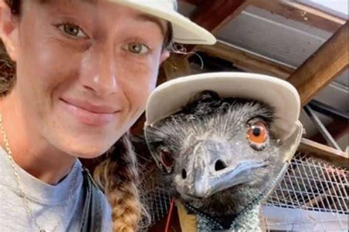 Emmanuel The Emu Didn&rsquo;t Actually Have Bird Flu