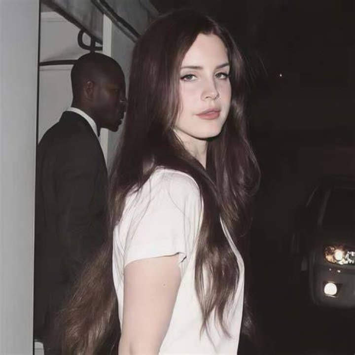 Lana Del Rey cuts a casual figure as she steps out in LA after slamming