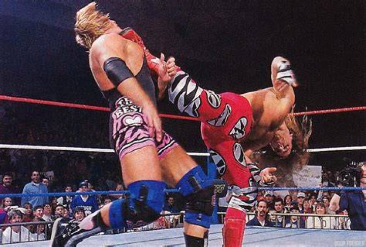 Shawn Michaels' Wife Suggested Big Change To WWE NXT